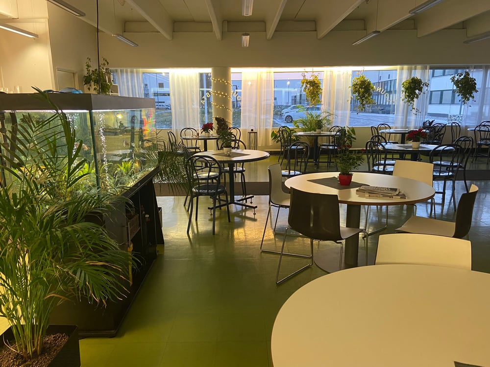 Lounasmesta_akvaario